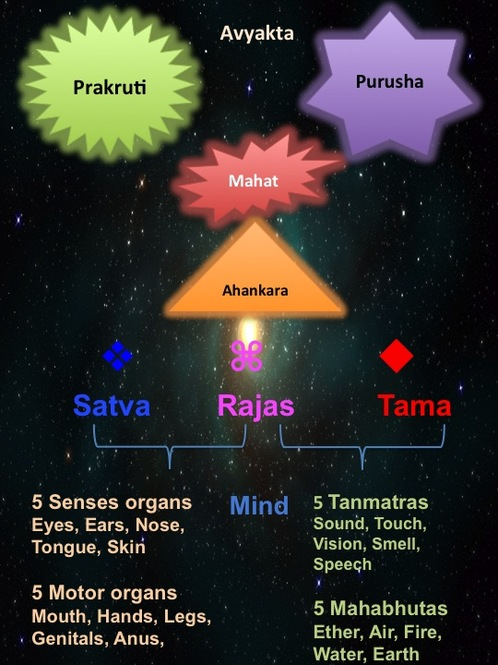 srishti image